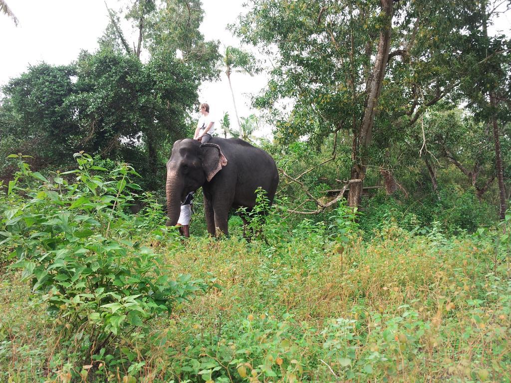 مبيت وإفطار ماراري دريمز Alappuzha الغرفة الصورة